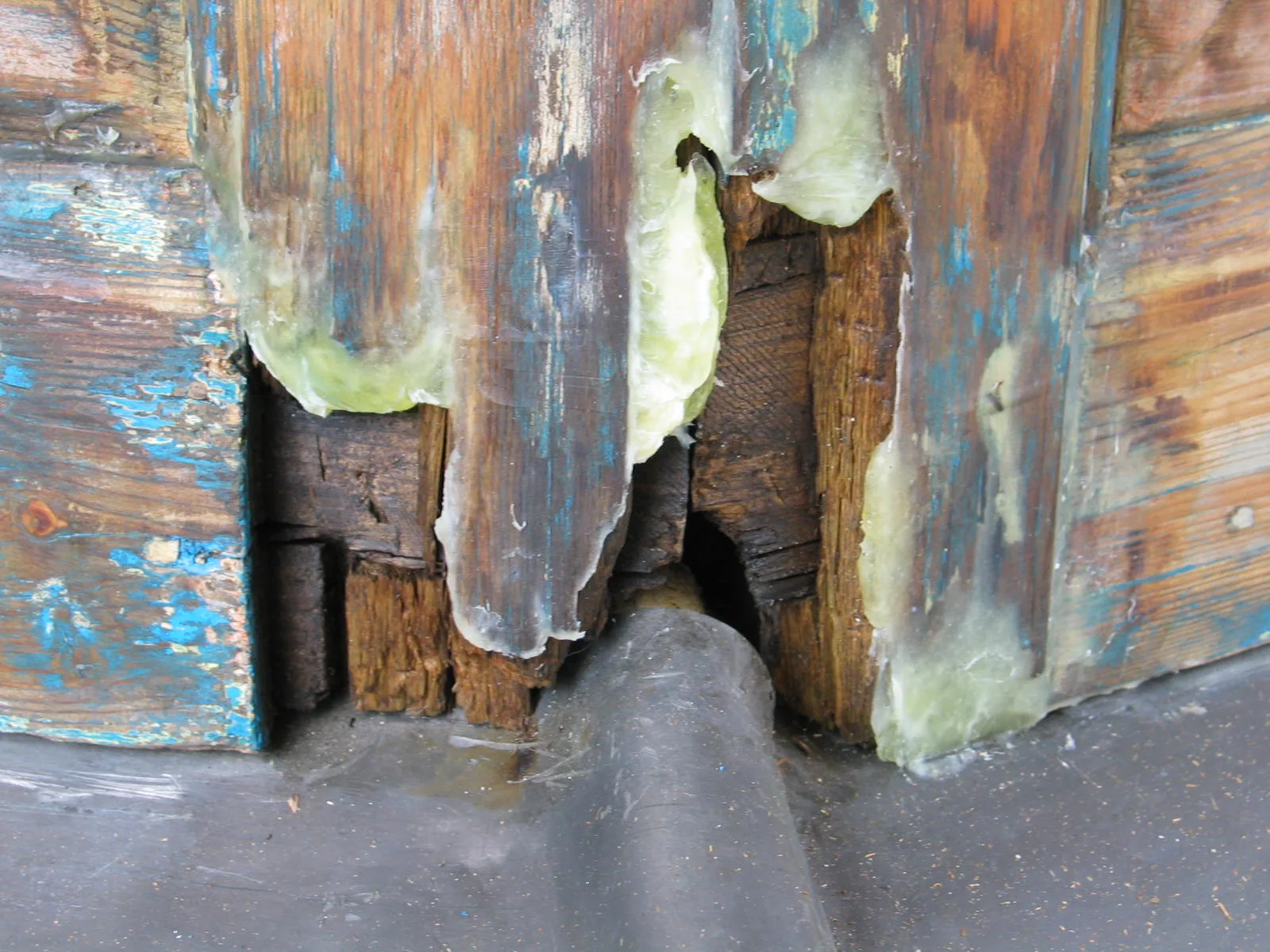 Victorian window timber cut back to sound wood
